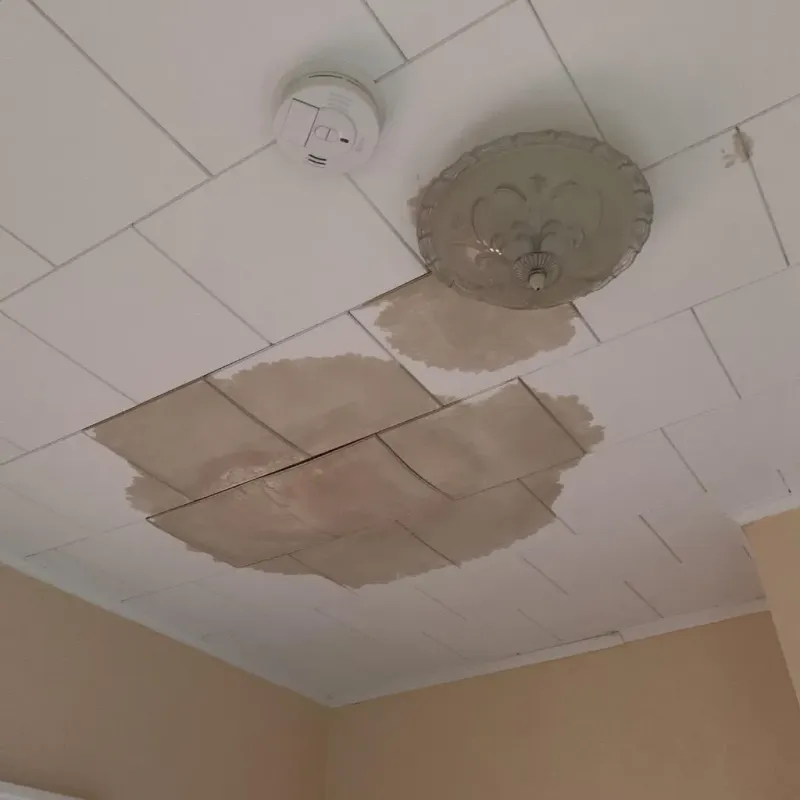 Ceiling Water Damage Repair in Oregon, MO