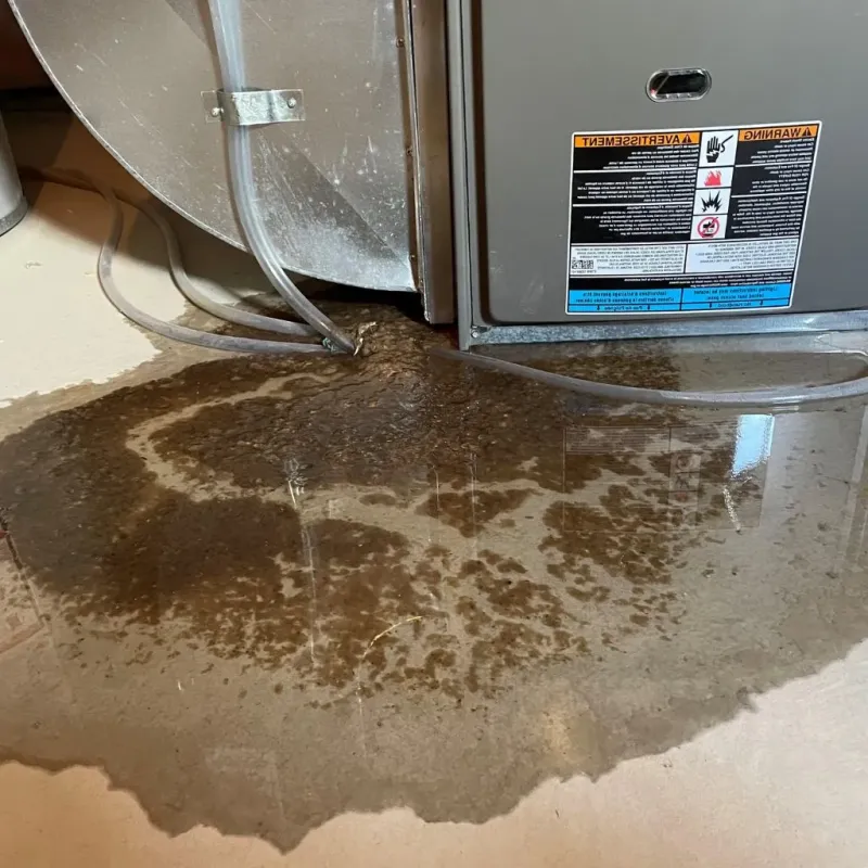 Pipe Burst and Leak Restoration in Oregon, MO